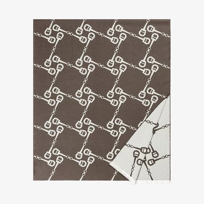 Aigner Seasonal Scarf — view 1
