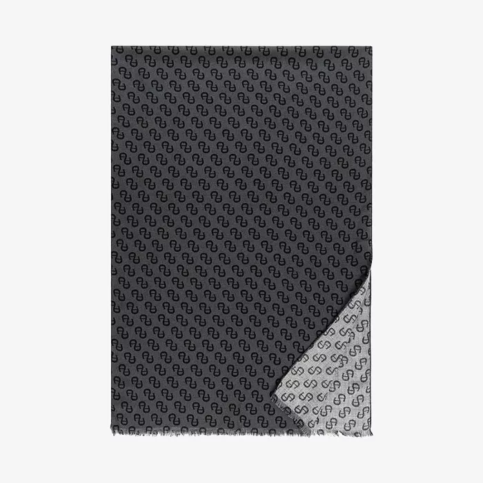 Aigner Logo Scarf — view 1