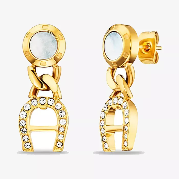 Aigner Fashion Earrings — view 1