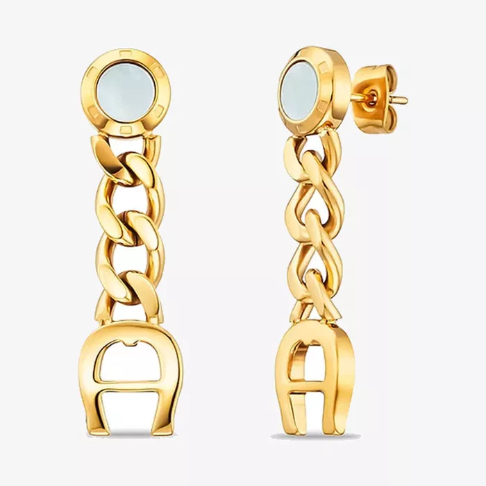 Aigner Fashion Earrings — view 1