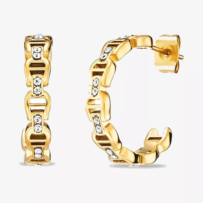 Aigner Fashion Earrings — view 1