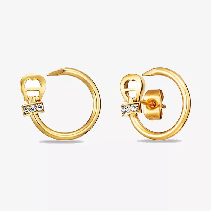 Aigner Fashion Earrings — view 1
