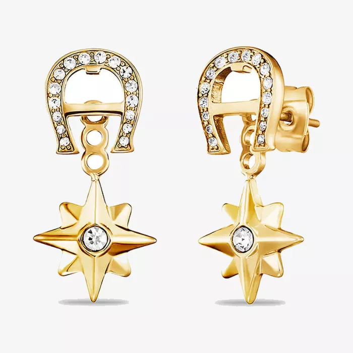 Aigner Fashion Earrings — view 1