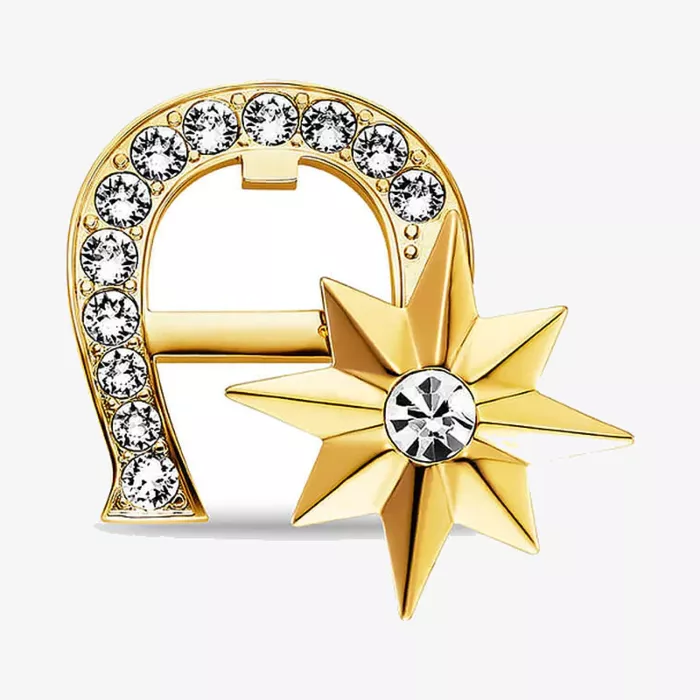 Aigner Fashion Brooch — view 1