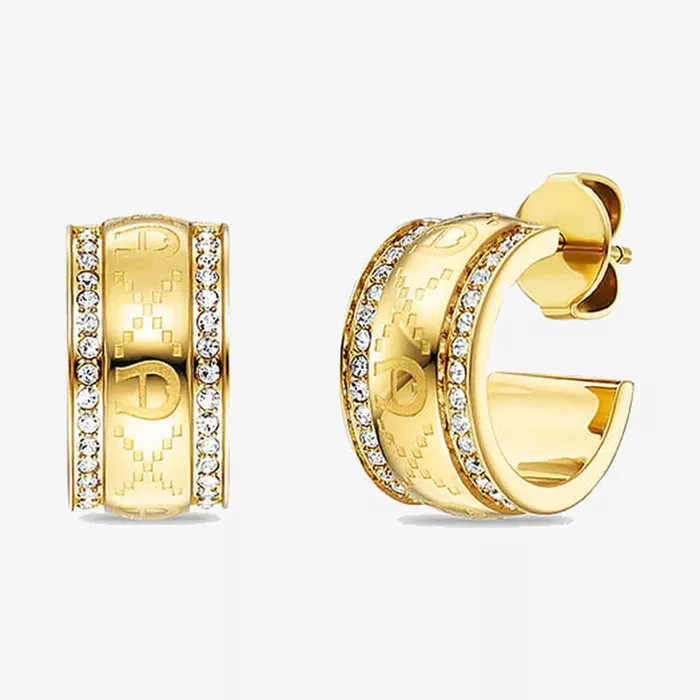 Aigner أقراط إيزيدورا — عرض 1