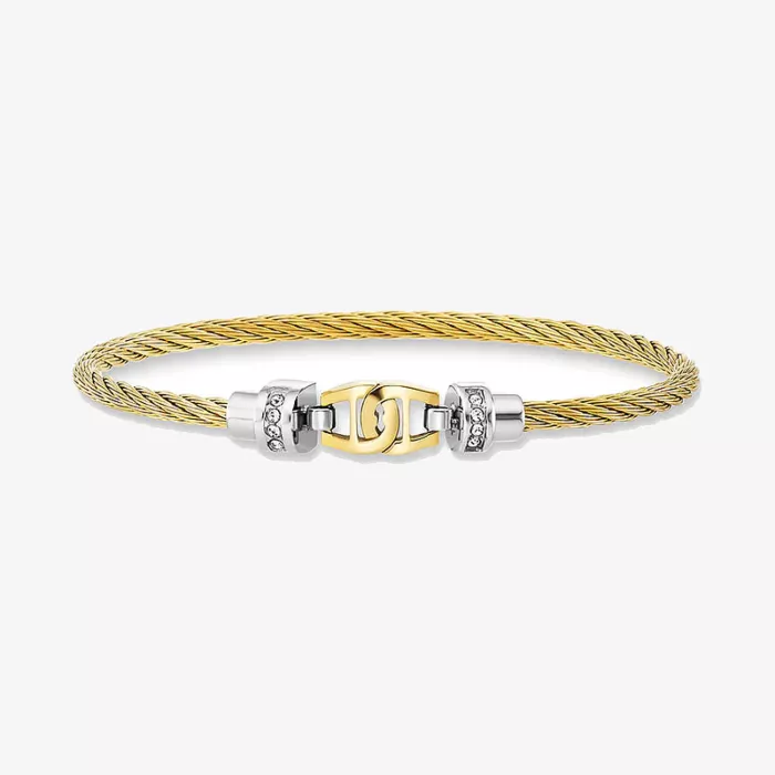 Aigner Ale Tre Bangle — view 1