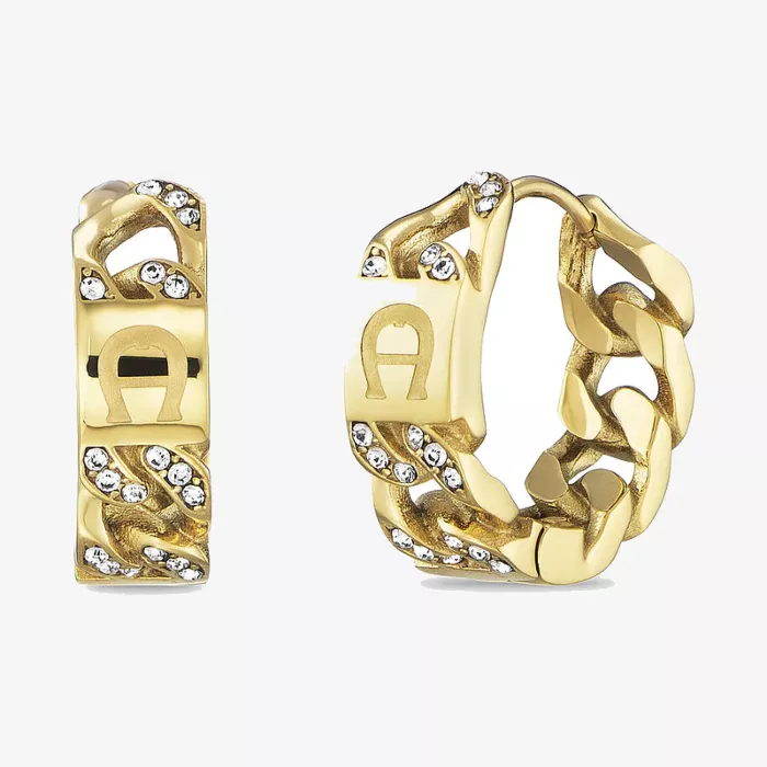 Aigner أقراط كوزيما — عرض 1