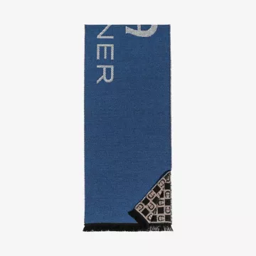 Aigner Seasonal Caribou Brown Scarf — view 1