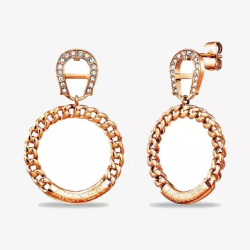 Aigner Fashion Earrings — view 1