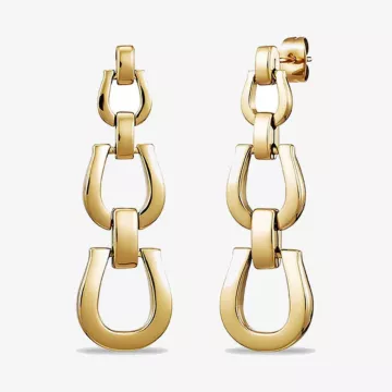 Aigner Fashion Earrings — view 1