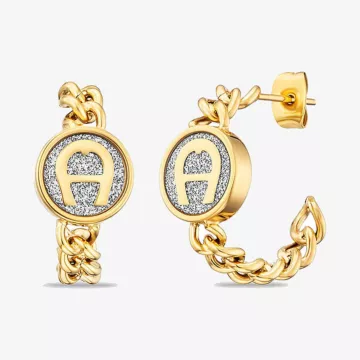 Aigner Fashion Earrings — view 1