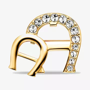 Aigner Fashion Brooch — view 1