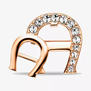 Aigner Fashion Brooch — view 1