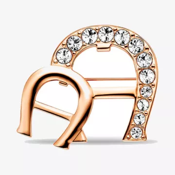 Aigner Fashion Brooch — view 1