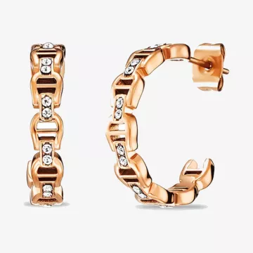Aigner Fashion Earrings — view 1