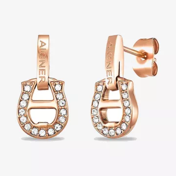 Aigner Fashion Earrings — view 1