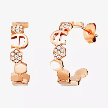 Aigner Fashion Earrings — view 1