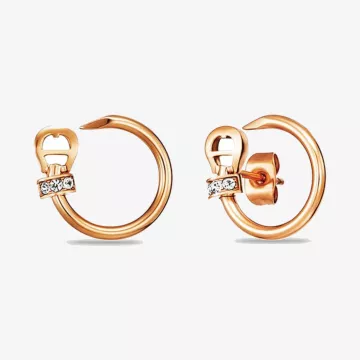 Aigner Fashion Earrings — view 1