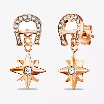 Aigner Fashion Earrings — view 1