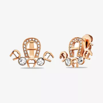 Aigner Fashion Earrings — view 1