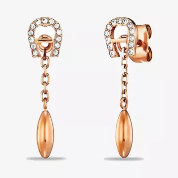 Aigner Fashion Earrings — view 1