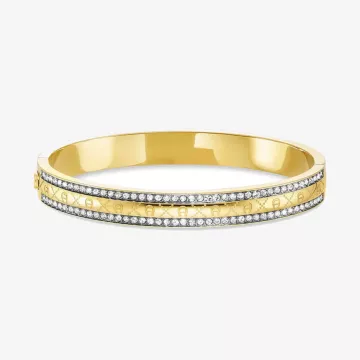 Aigner Isidora Large Bangle — view 1