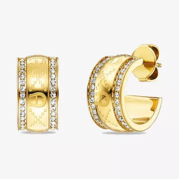 Aigner أقراط إيزيدورا