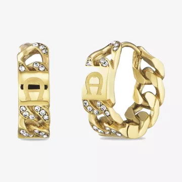 Aigner أقراط كوزيما — عرض 1