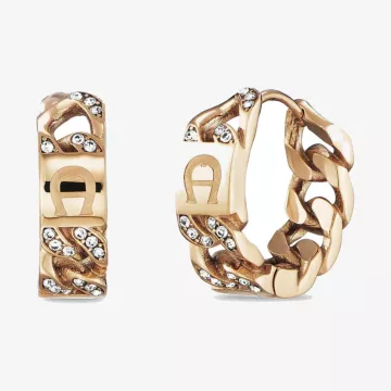 Aigner Cosima Earrings — view 1